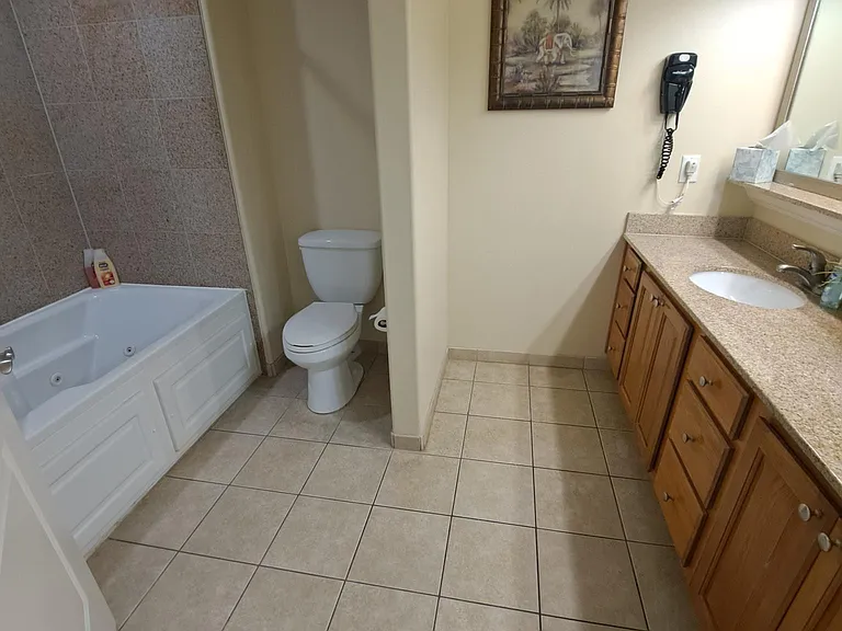 13427 Blue Heron Beach Dr #1204 — Photo 11