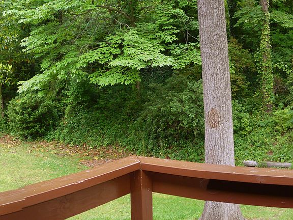 The back yard overlooks the Evergreen Nature Preserve
