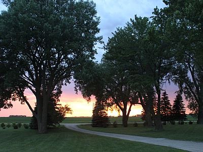 Sunset View 