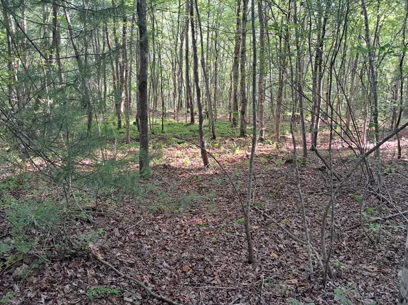 Airport Road Pca Lot 7, Rockwood, TN 37854