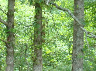 Y Y State Rte, Mountain View, MO 65548