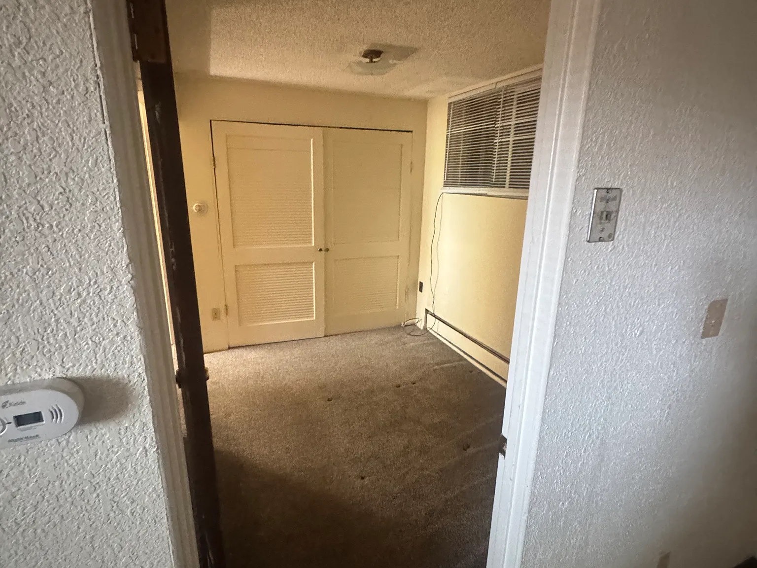 1 bed, $900 — Photo 3