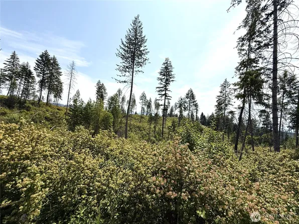 0 Lot 1 Rockabye Lane, Curlew, WA 99118