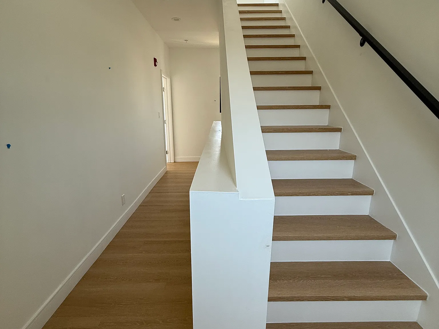 812 Chestnut Ave — Photo 4