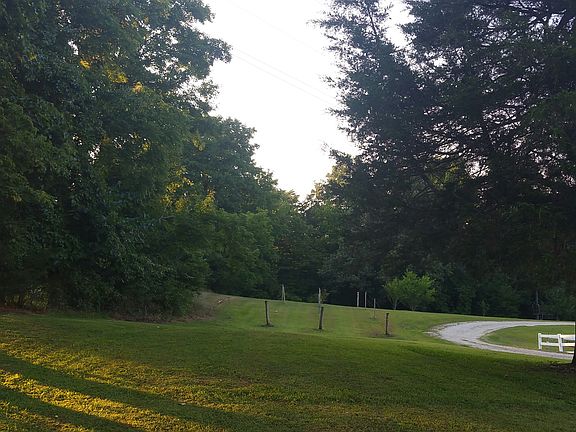 Grape vines front side yard