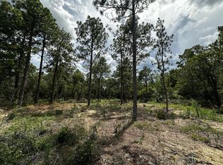 0 Highway 41, Box Springs, GA 31801