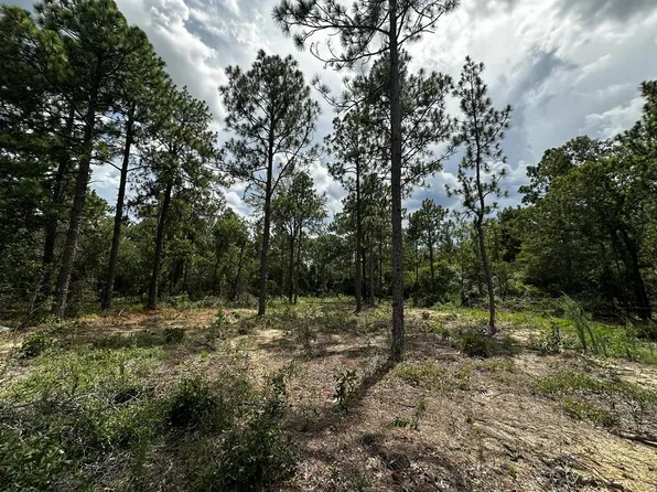 0 Highway 41, Box Springs, GA 31801