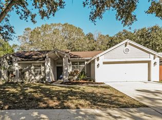 10324 Ashley Oaks Dr, Riverview, FL 33578