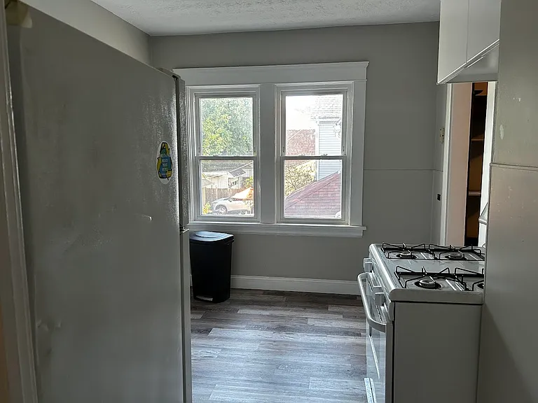 1321-1323 W89th street 2nd floor Kitchen