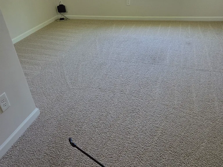 271 Lilys Pl — Photo 22