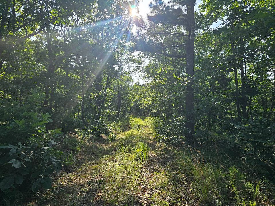 1st image of 0 Buffalo Mountain Rd