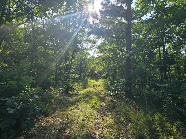 0 Buffalo Mountain Rd, Talihina, OK 74571