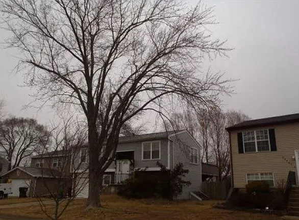 20553 S Frankfort Square Rd photo 1