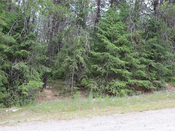 0 Lot 11 Diamond Drive, Newport, WA 99156