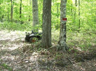 0 Sinks Rd, Sneedville, TN 37869