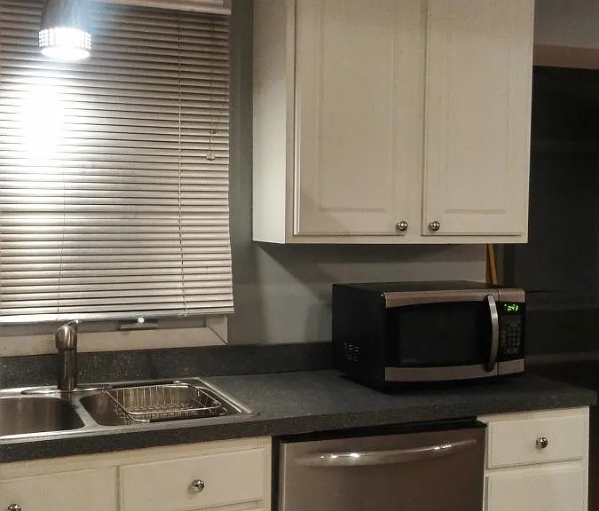 Dishwasher appliances.