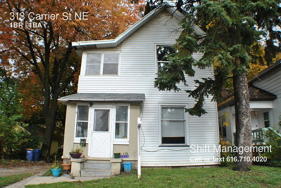 1st image of 313 Carrier St NE