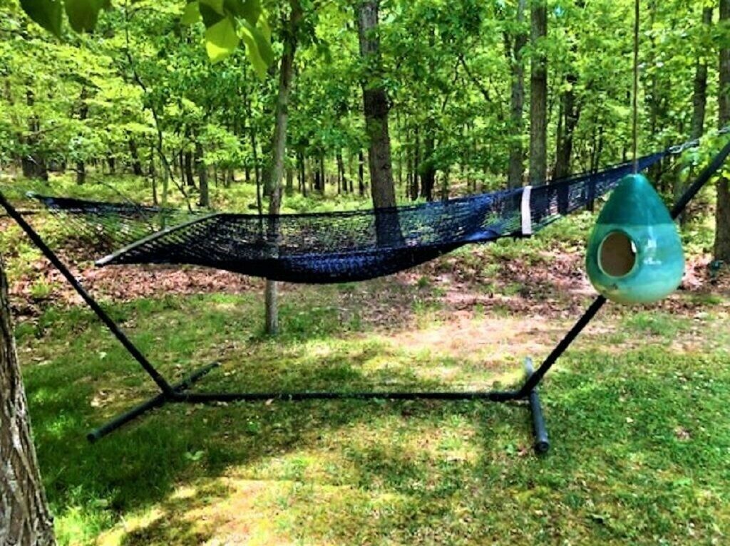  Hammock under the tree to wait for the humming birds