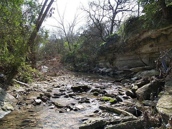 Bouldin Creek on the property