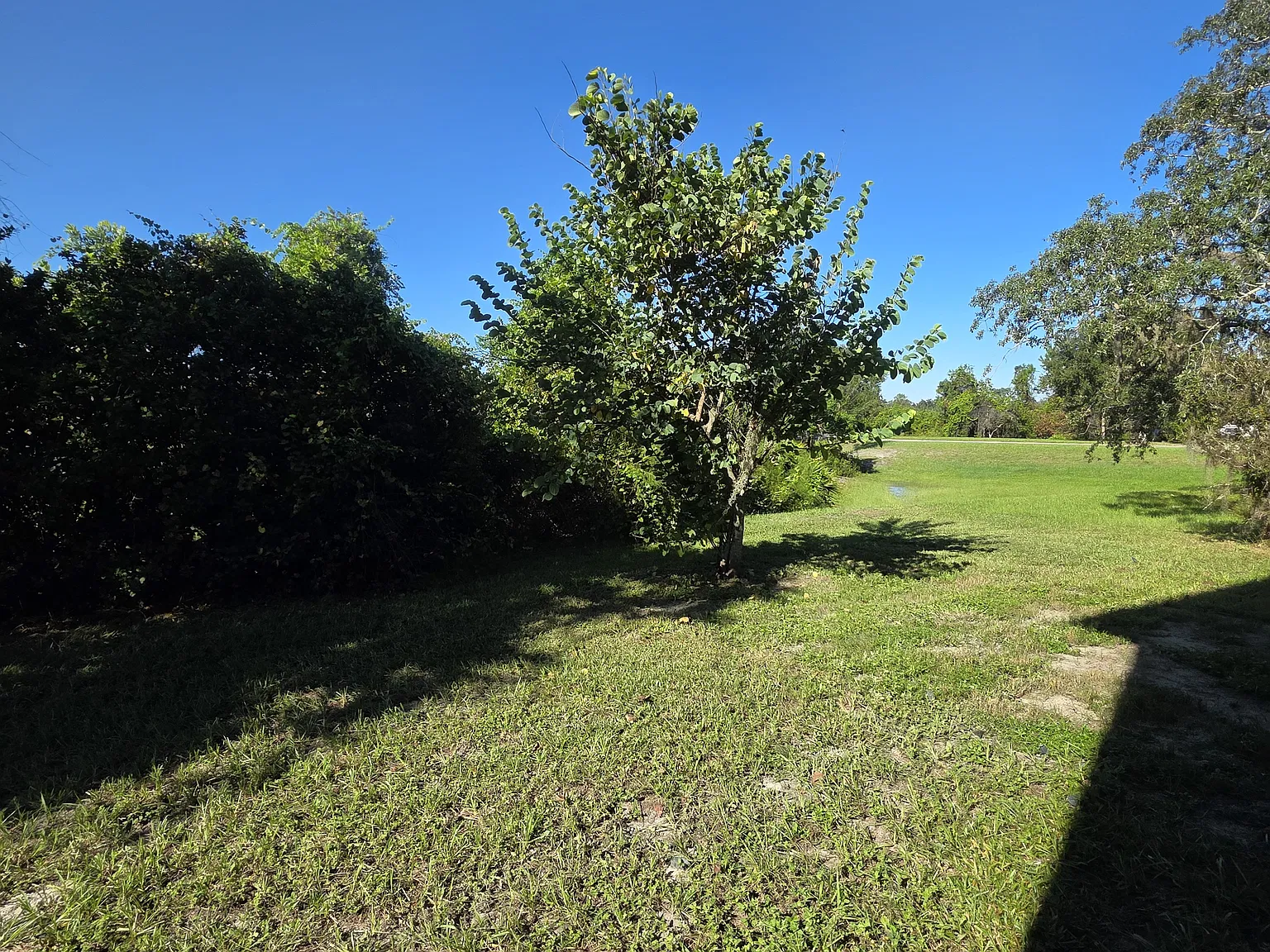 4 bed, 2.5 bath, 2305 sqft, $2,295 — Photo 2