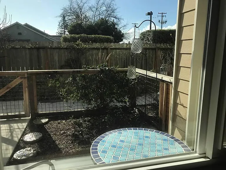 238 Johnson St — Photo 11