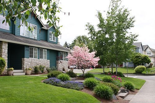 Beautiful Landscaping