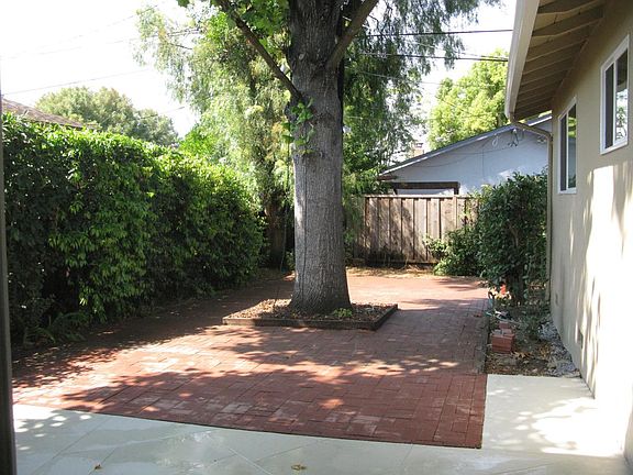 Back yard