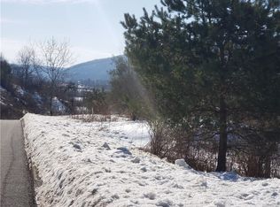 12 McKinley Dr, Ellicottville, NY 14731