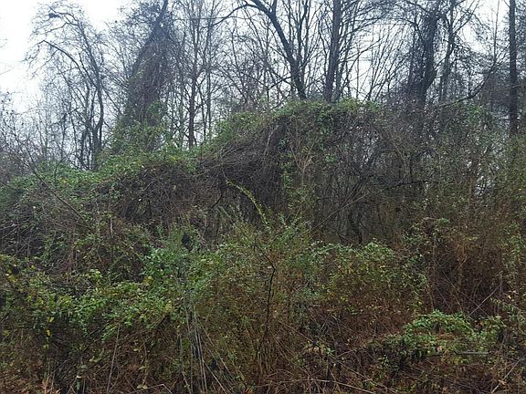 2nd image of 723 Skyline Dr