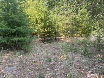0 XX Spy Glass Place, Cle Elum, WA, 98922