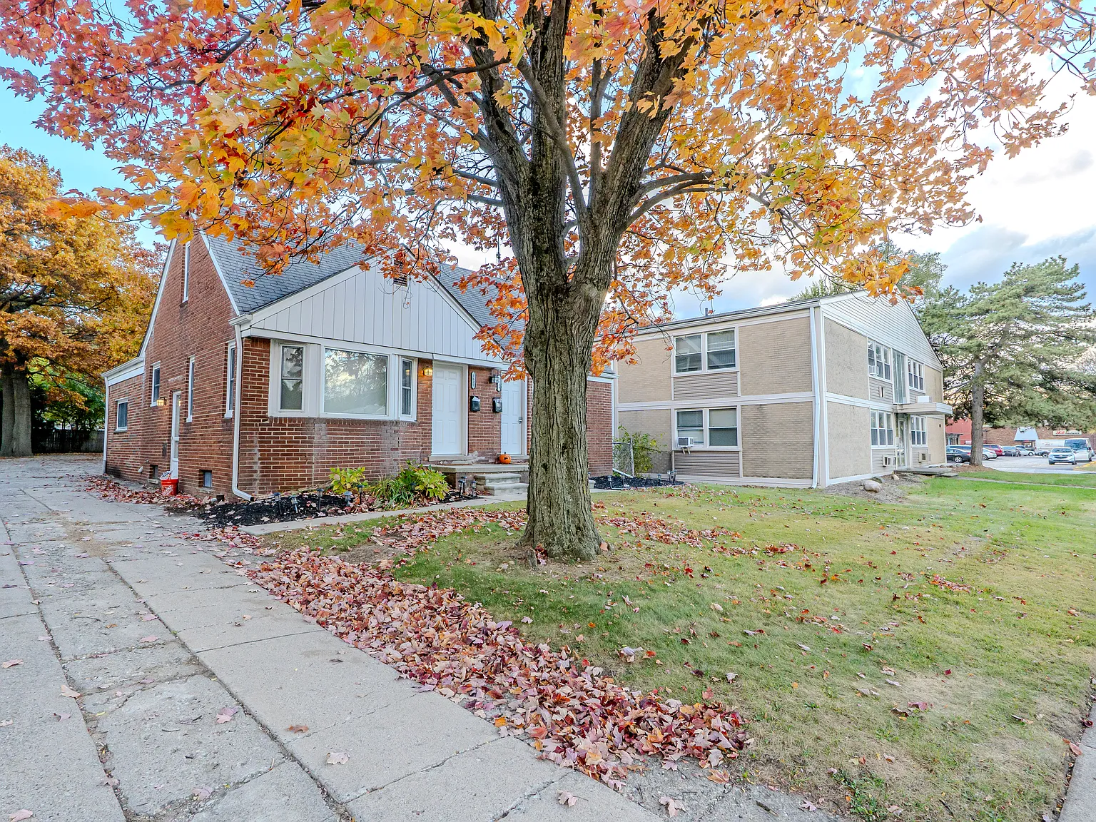 1 bed, 650 sqft, $1,450 — Photo 2