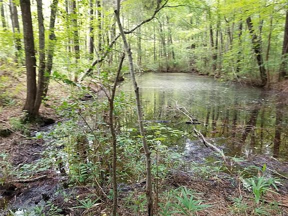Pond located on property