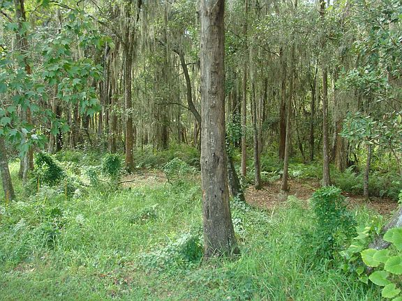 backyard conservation