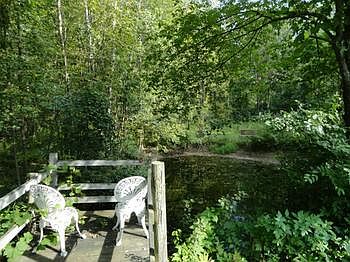 The front yard has it's very own private pond that's partially fed with rain water off the roof! You