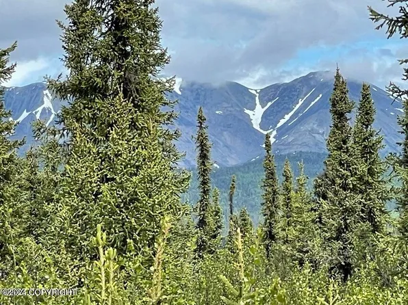 4 Homestead Trl, Gakona, AK 99586