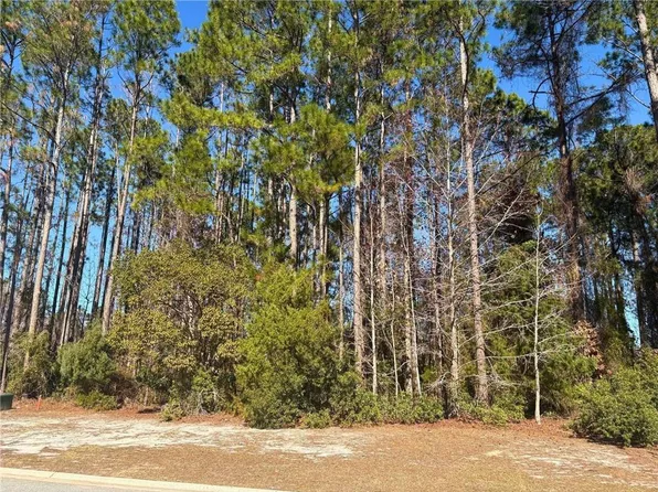 0 Bluebird Ct, Saint Marys, GA 31558