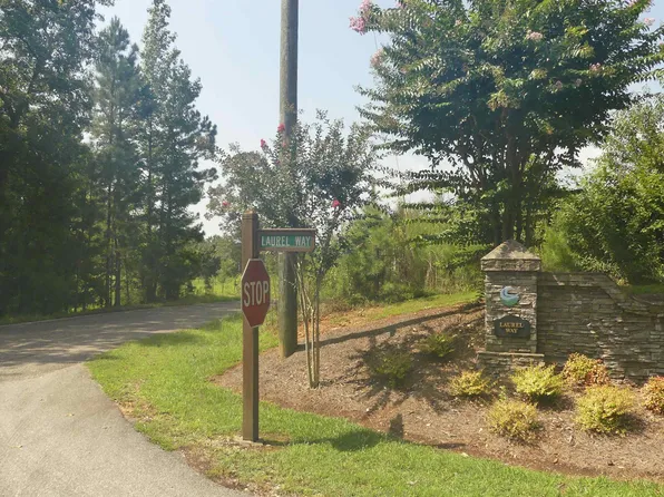 79 Laurel Dr, Wedowee, AL 36278