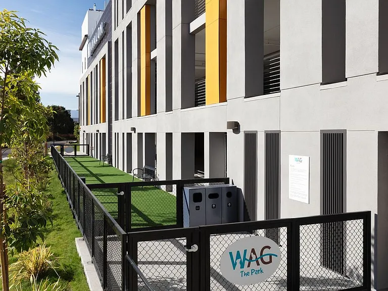 On-Site WAG Dog Run