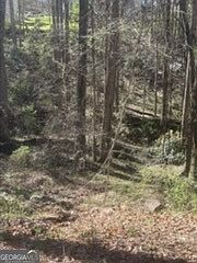 1st image of 0 Jackson Rd