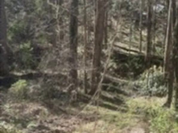 10996 Shannon Cir, Hampton, GA 30228