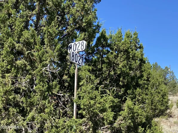 47 COUNTY ROAD 8027 -- #26, Concho, AZ 85924