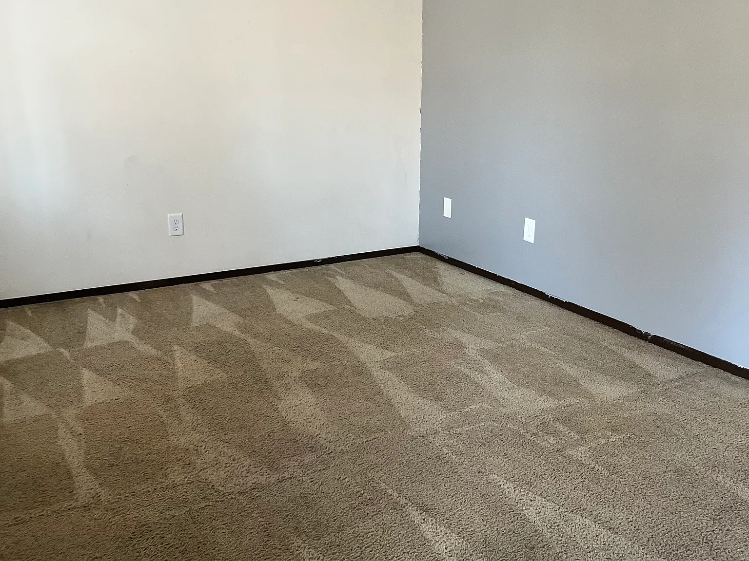 1 bed, 720 sqft, $650 — Photo 2