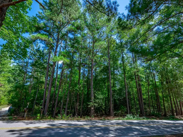 1125 Dan Comalander Dr, Chapin, SC 29036