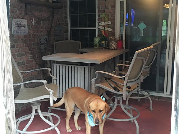 Back screened in porch