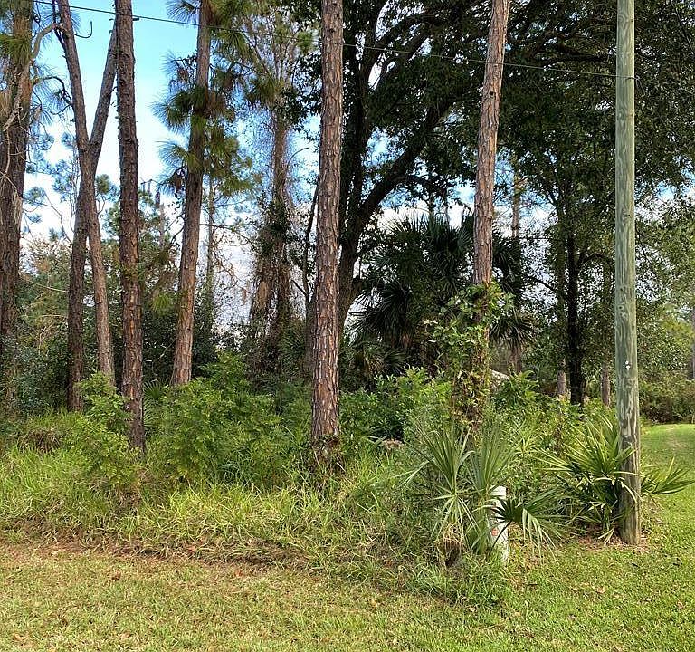 1st image of 63 Pin Oak Dr