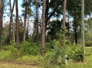 63 Pin Oak Dr, Palm Coast, FL 32164