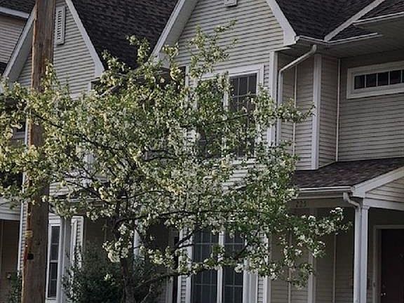 2nd image of 225 W Center St