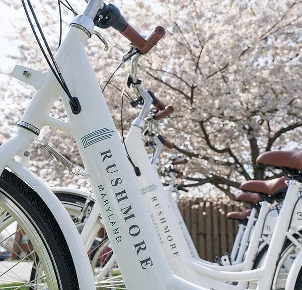 Bike Share