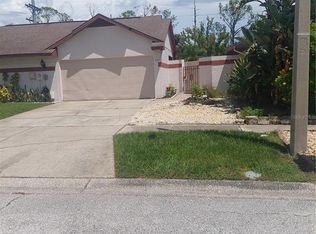7045 Silvermill Dr, Tampa, FL 33635