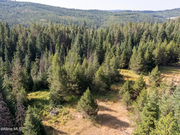 Nka Lost Cabin Trl, Saint Maries, ID 83861